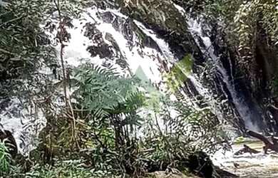 Imagem: A fazenda possui 37000m² de Área e está localizado em Joanópolis