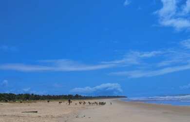 Imagem 7: Casa de praia em Miai de Cima