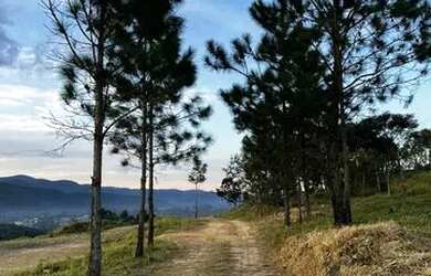 Imagem 1: Terreno Feliz em Mariporã. Venha viver essa fantasia de alegria