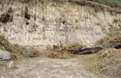 Imagem 6: Lote. 1.000m² de Área