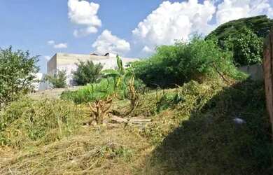 Imagem 8: Terreno à venda com 602 m² no Parque São Quirino, Campinas