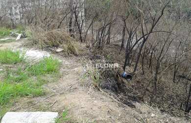 Imagem: O terreno possui 412m² de Área e está localizado em Maria