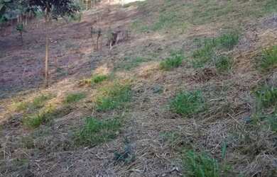 Imagem 7: AREA - JARDIM PROFESSOR BENOÁ - SP