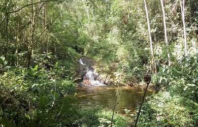 Imagem 11: 20 mil MTS rico em agua 79 mil reais 14 km da rodovia Regis Bittencourt