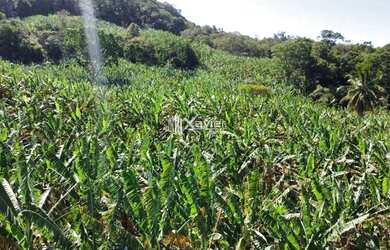 Imagem: O terreno possui 96.800m² de Área e está localizado em Comunidade