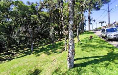 Imagem: O terreno possui 595m² de Área e está localizado em Canela