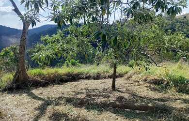 Imagem: A chácara possui 1.000m² de Área e está localizado em Redenção