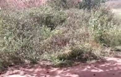 Imagem: O terreno está localizado em Maria Quitéria, Feira de Santana