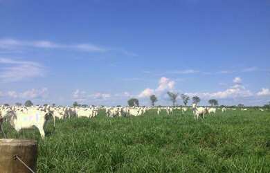 Imagem: A fazenda possui 420.000m² de Área e está localizado em