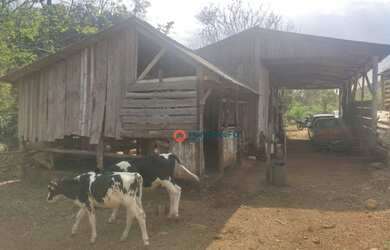 Imagem 7: Chácara 5 Alqueires em Cantagalo-Pr