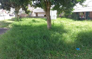 Imagem 2: Lote/Terreno a venda - 165 m² - Jardim Paulista - Campina Grande do Sul /PR