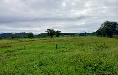 Imagem: Fazenda 32 alqueires Área Plana ( Willian Ricardo
