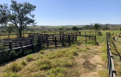 Imagem 12: Fazenda 705 ha ou 291,32 alq paulista em Presidente Olegário MG