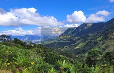 Imagem: O terreno possui 5.000m² de Área e está localizado em São
