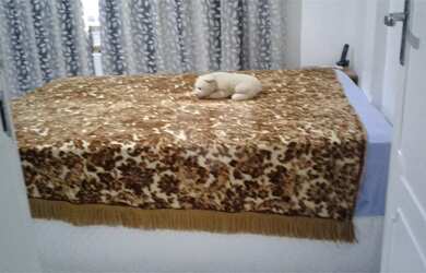 Imagem 3: Ótima localização VP. 82m² de Área, 1 Vaga na garageme2 Dormitórios