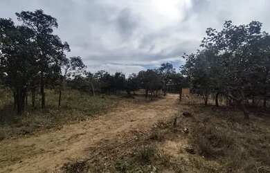 Imagem: A chácara possui 1.000m² de Área e está localizado em Três