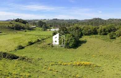 Imagem 5: Área rural com 67 ha, casas, açude e pinus