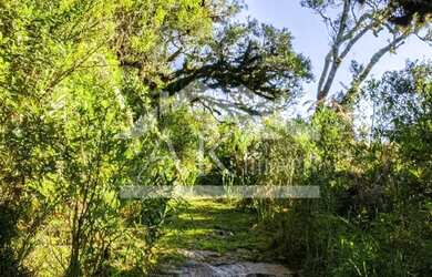 Imagem 11: Fazenda com vista cinematográfica à venda em Cambará do Sul -RS