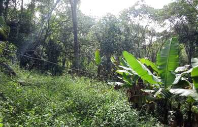 Imagem 14: 20 mil MTS rico em agua 79 mil reais 14 km da rodovia Regis Bittencourt