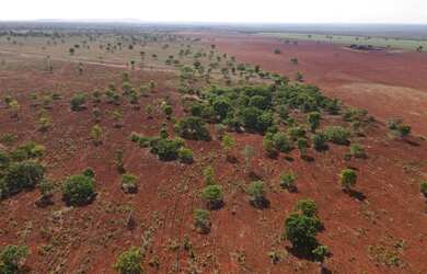 Imagem: A fazenda possui 288m² de Área e está localizado em Alto