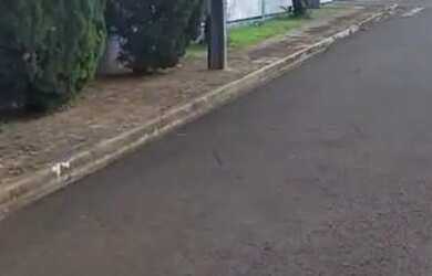 Imagem: O terreno possui 300m² de Área e está localizado em Santa