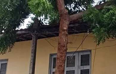 Imagem: O apartamento possui 2 Dormitórios, 1 Banheiro, 80m² de Área