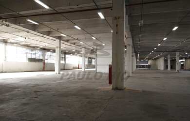 Imagem 13: SAO PAULO - Galpão/Depósito/Armazém - Jardim Pereira Leite