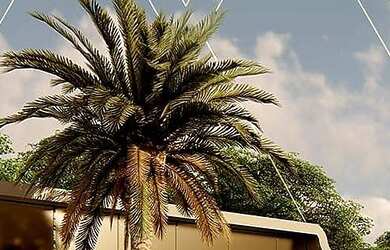 Imagem: O terreno possui 200m² de Área e está localizado em Cajupiranga