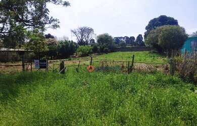 Imagem 2: Terreno à venda, 800 m² por R$ 200.000,00 - Rural - Entre Rios Guarapuava...