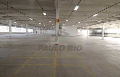 Imagem 3: SAO PAULO - Galpão/Depósito/Armazém - Jardim Pereira Leite