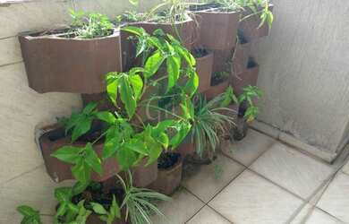 Imagem 6: Sobrado à venda no bairro Lauzane Paulista - São Paulo/SP, Zona Norte