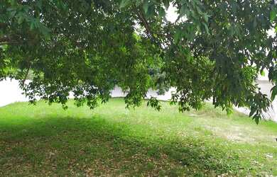 Imagem 12: Terreno plano de 860 m2 em Ilha de Guaratiba - Rio de Janeiro - RJ