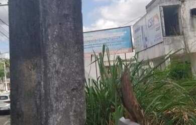 Imagem 11: Galpão/Depósito/Armazém para aluguel e venda possui 600 metros quadrados