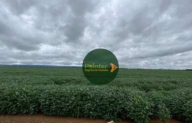 Imagem 2: Fazenda com 3 dormitórios à venda, 350000 m² por R$ 800.000.000,00...