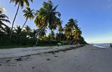 Imagem 14: Casa Amarela Porto de Pedras - Aluguel Temporada - Feriado Tiradentes