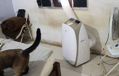 Imagem: A casa possui 1 Dormitório, 1 Banheiro, 1 Vaga na garagem