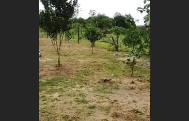 Imagem: A chácara está localizado em Iúna, ES à venda por R$180.000