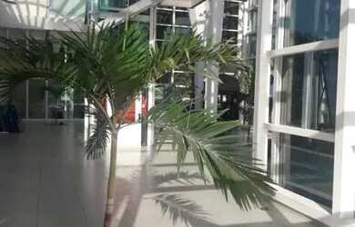 Imagem 16: Loja Comercial para Venda em Salvador, Garibaldi, 1 dormitório, 1 banheiro, 5 vagas