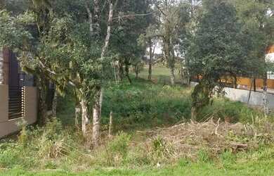 Imagem 3: Terreno em Gramado. 446m² de Área