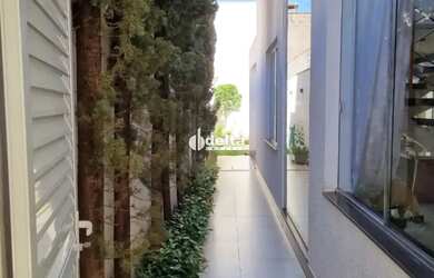 Imagem 13: Casa residencial com 3 suítes disponível para locação no bairro Alto...