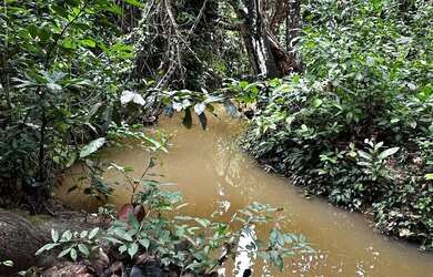 Imagem: A fazenda possui 1.580.000m² de Área e está localizado em