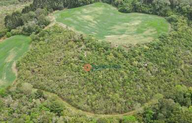 Imagem 12: Área à venda, 16 alqueires por R$ 2.000.000 - Zona Rural - Campina do...