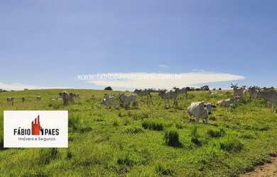 Imagem 1: Fabio Paes Imóveis - Fazenda 81 alq no Norte Fluminense