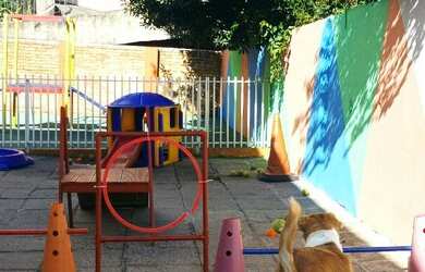 Imagem 3: Pet shop, Consultório veterinário, creche e banho e tosa