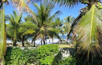 Imagem 8: Casa com 4 dormitórios à venda, 600 m² por R$ 4.000.000 - Itapuã -...