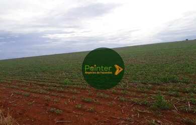 Imagem: A fazenda possui 1.597.200m² de Área e está localizado em