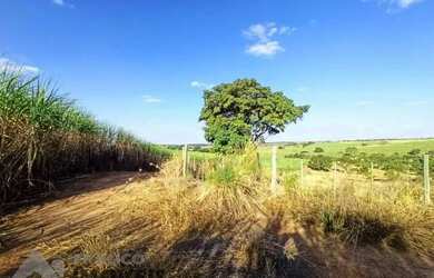 Imagem 6: Ótima Fazenda entre Floreal e Nhandeara com 130 alqueires Cana / Pasto...