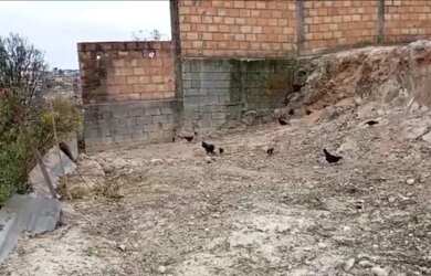 Imagem 6: Lote no bairro praia em negociação. Venda ou troca. Próximo ao Monteirão....