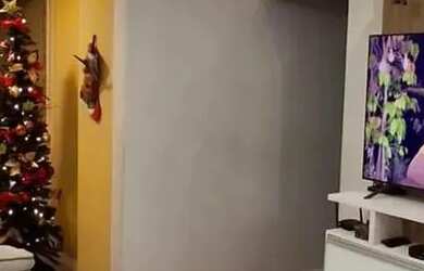 Imagem 3: 170 - Excelente apartamento no Boaçu São Gonçalo