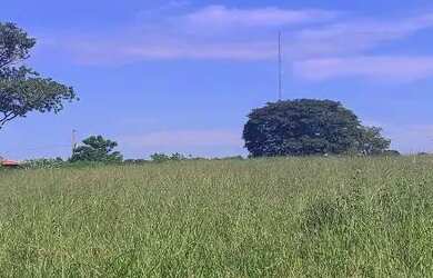 Imagem 3: Chácara em Inhumas. 5.490m² de Área